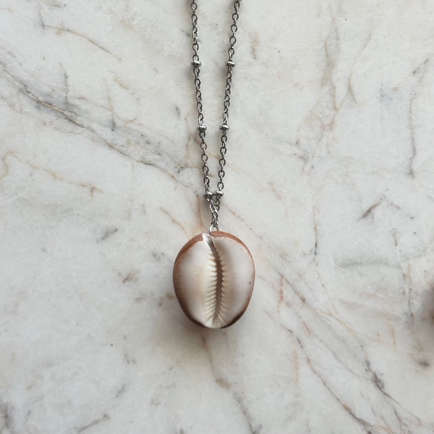 cowrie no. 02