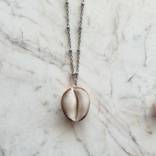 cowrie no. 02