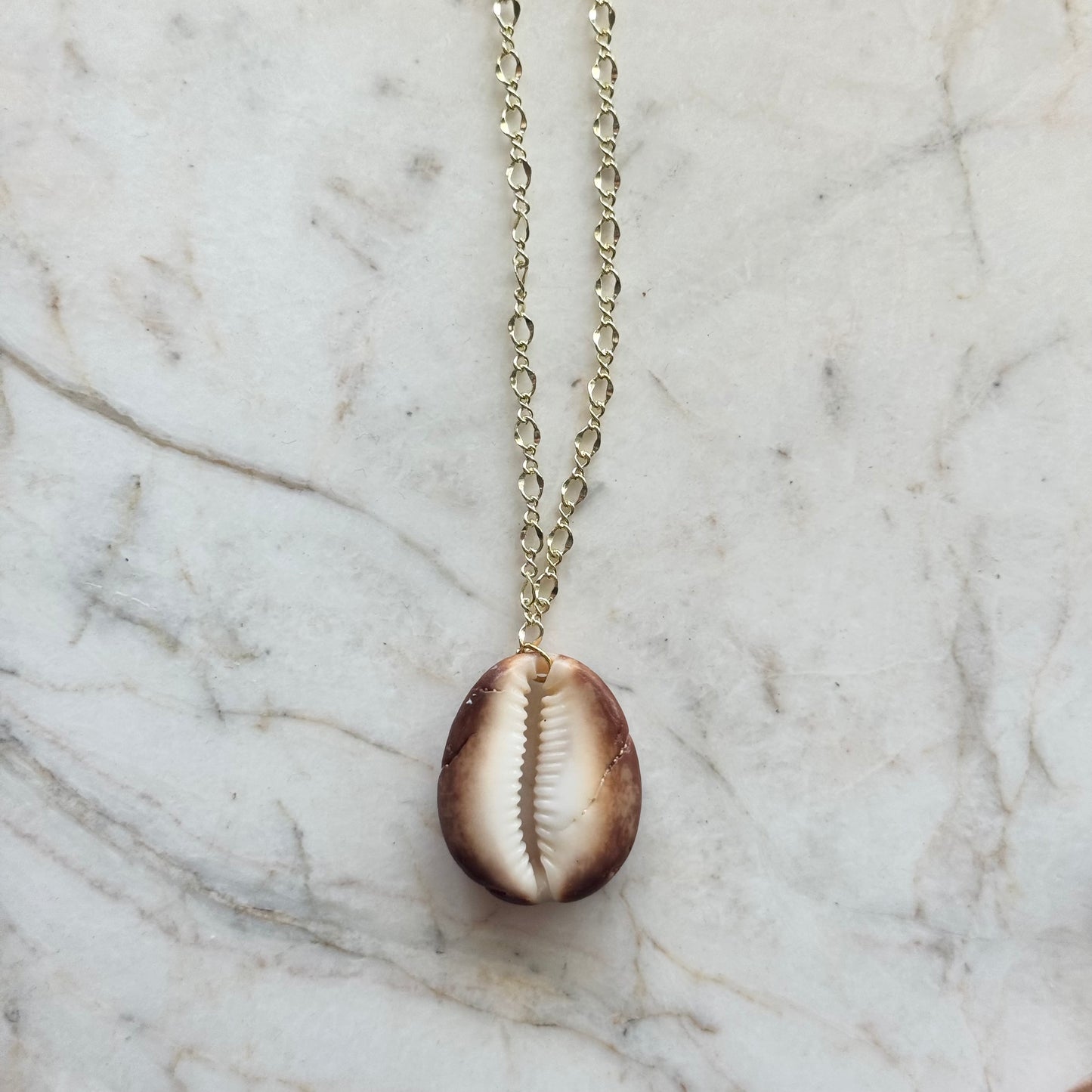 cowrie no. 01