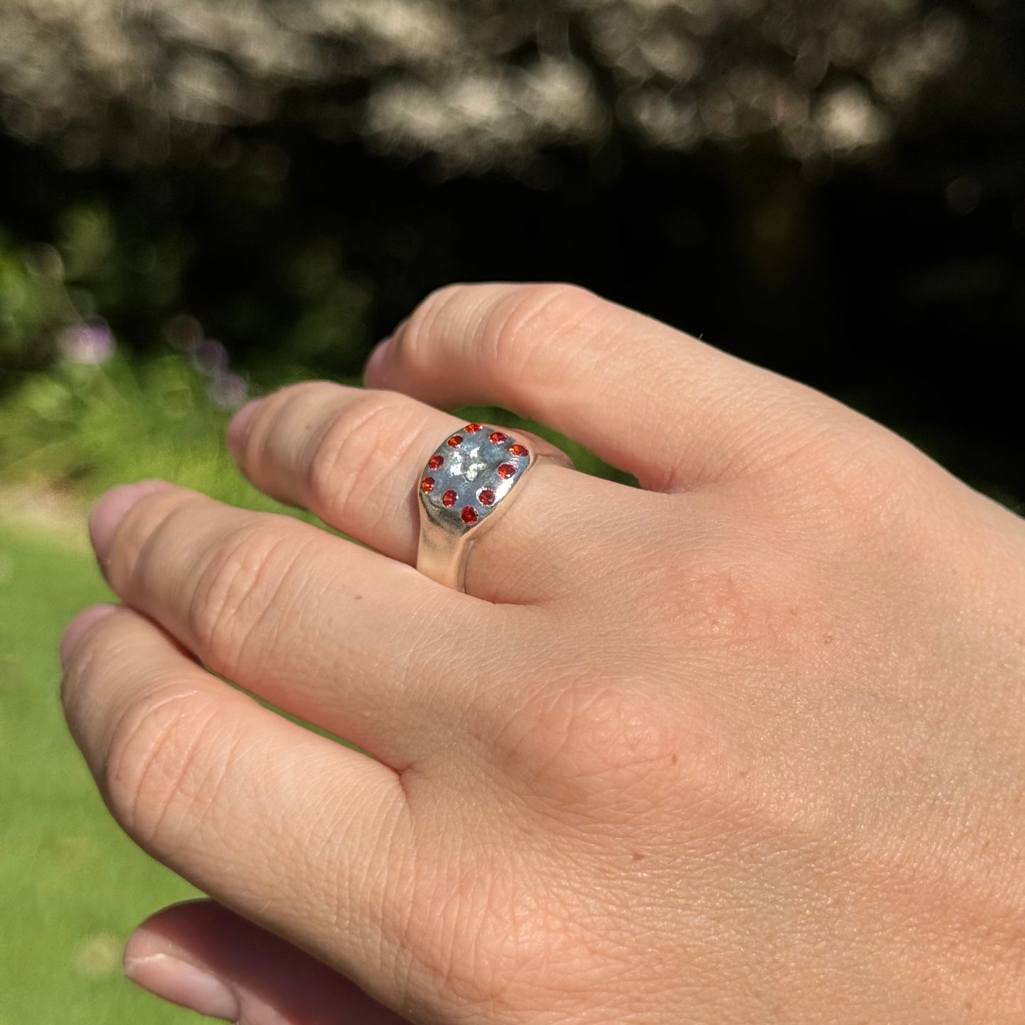 stellar signet
