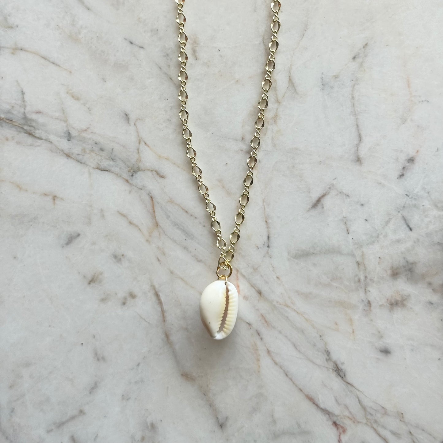 white cowrie no. 03