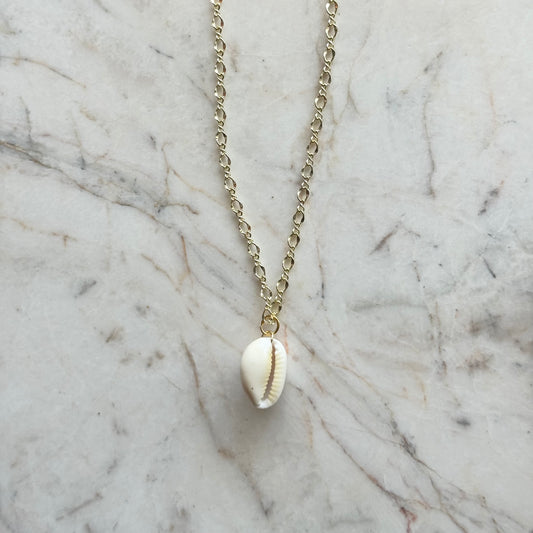 white cowrie no. 03