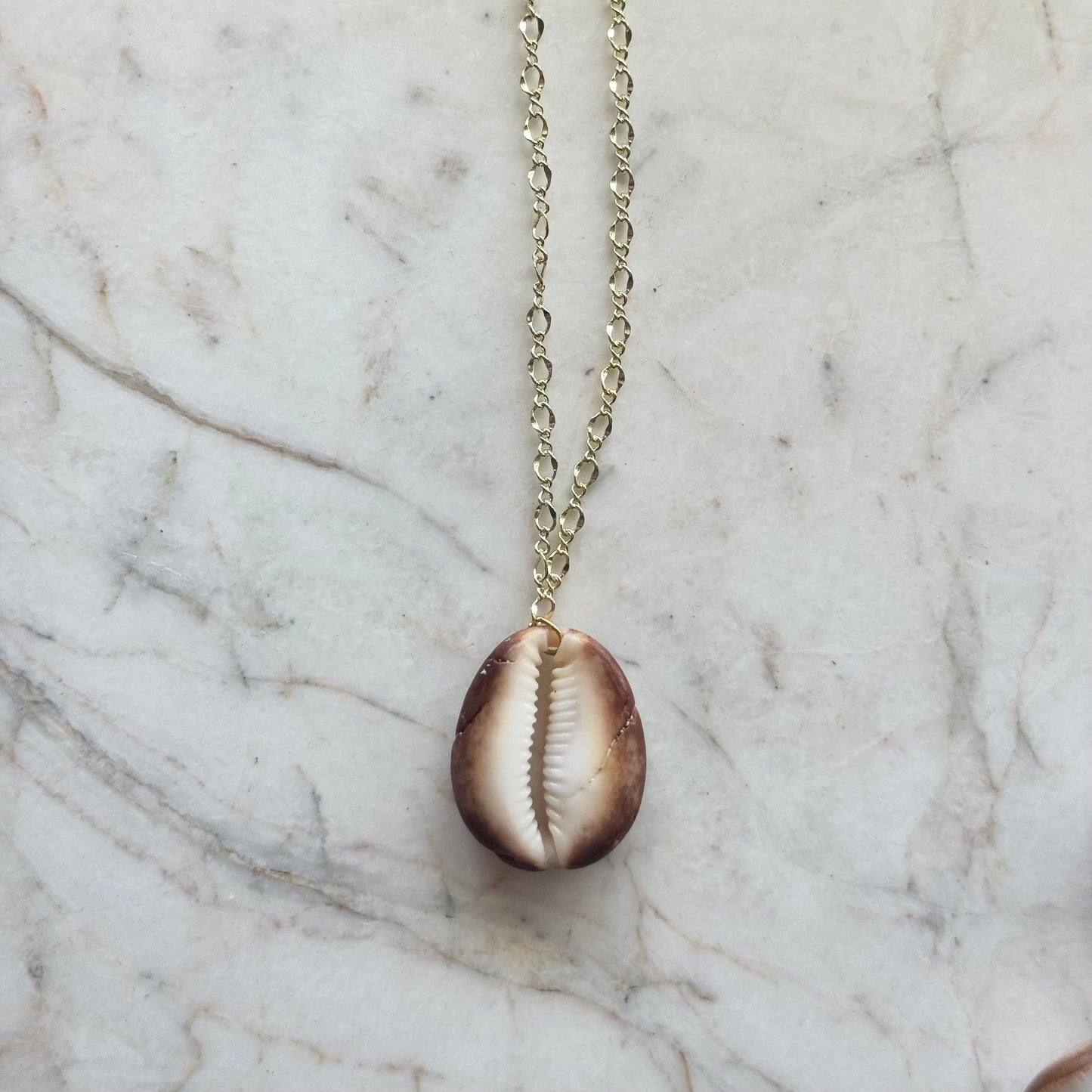 cowrie no. 01
