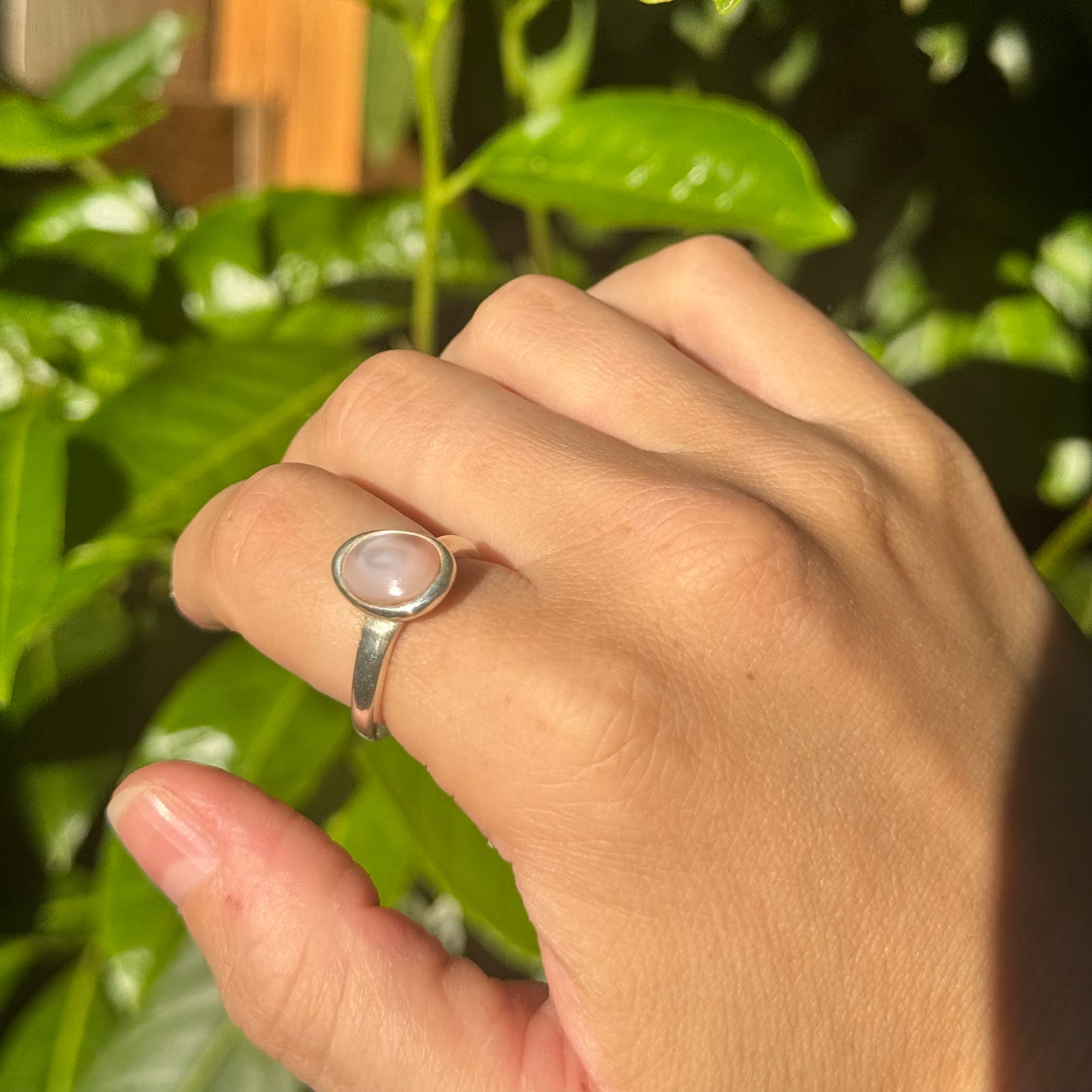 pale pink shell ring