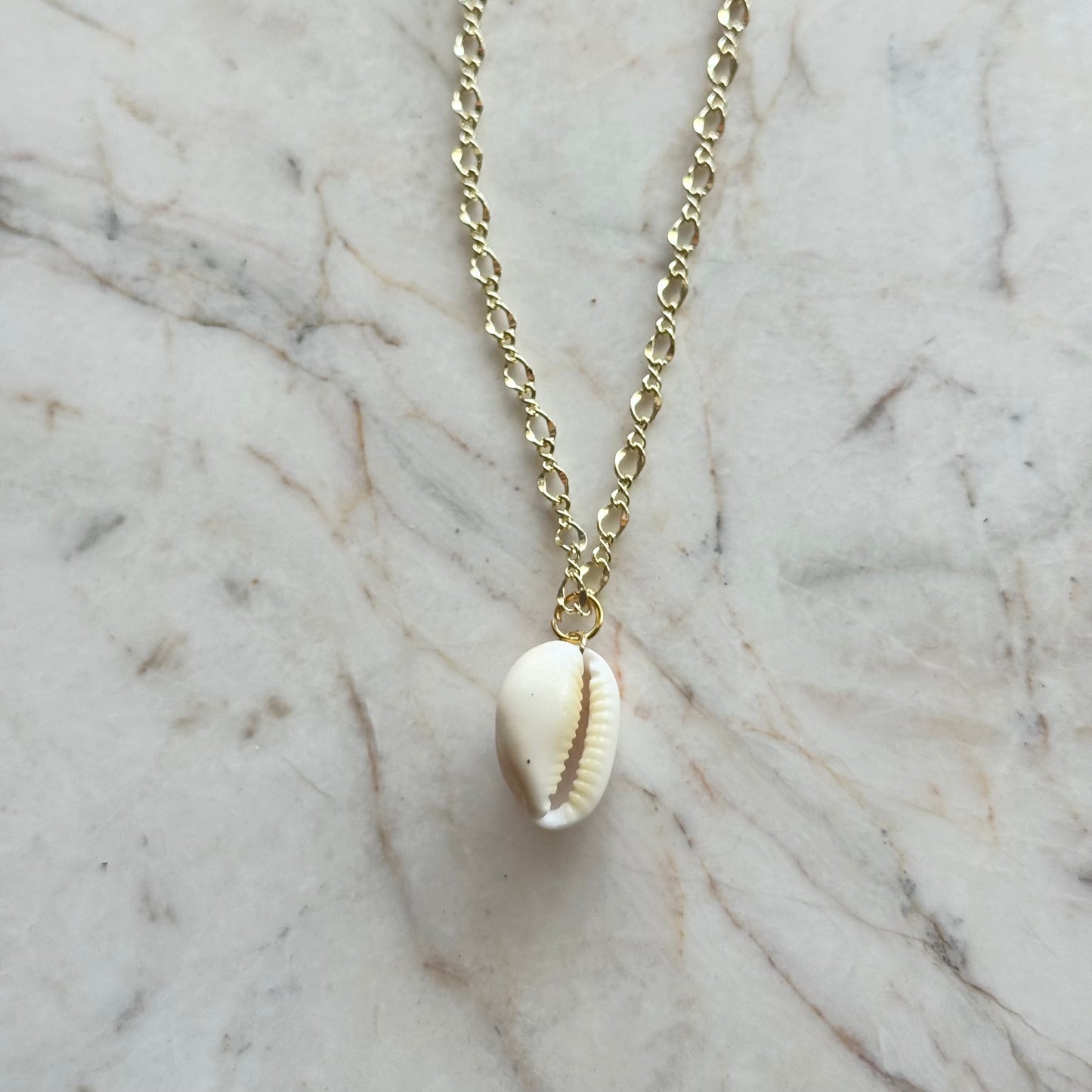 white cowrie no. 03