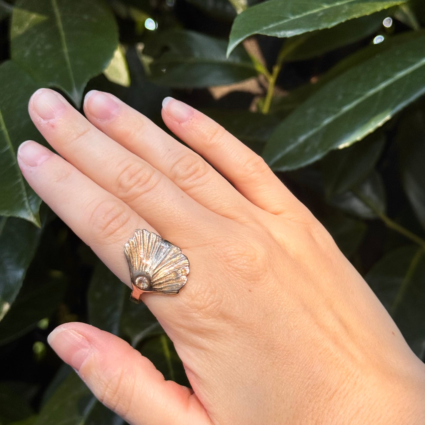 sunlit shell ring