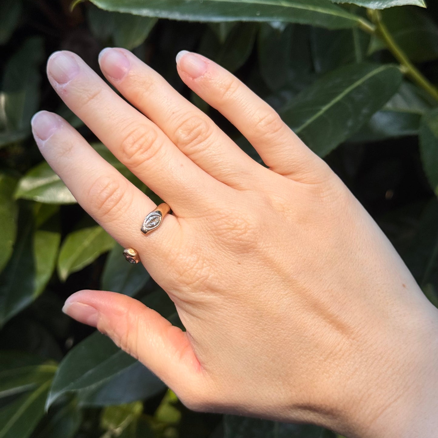 petal arc ring