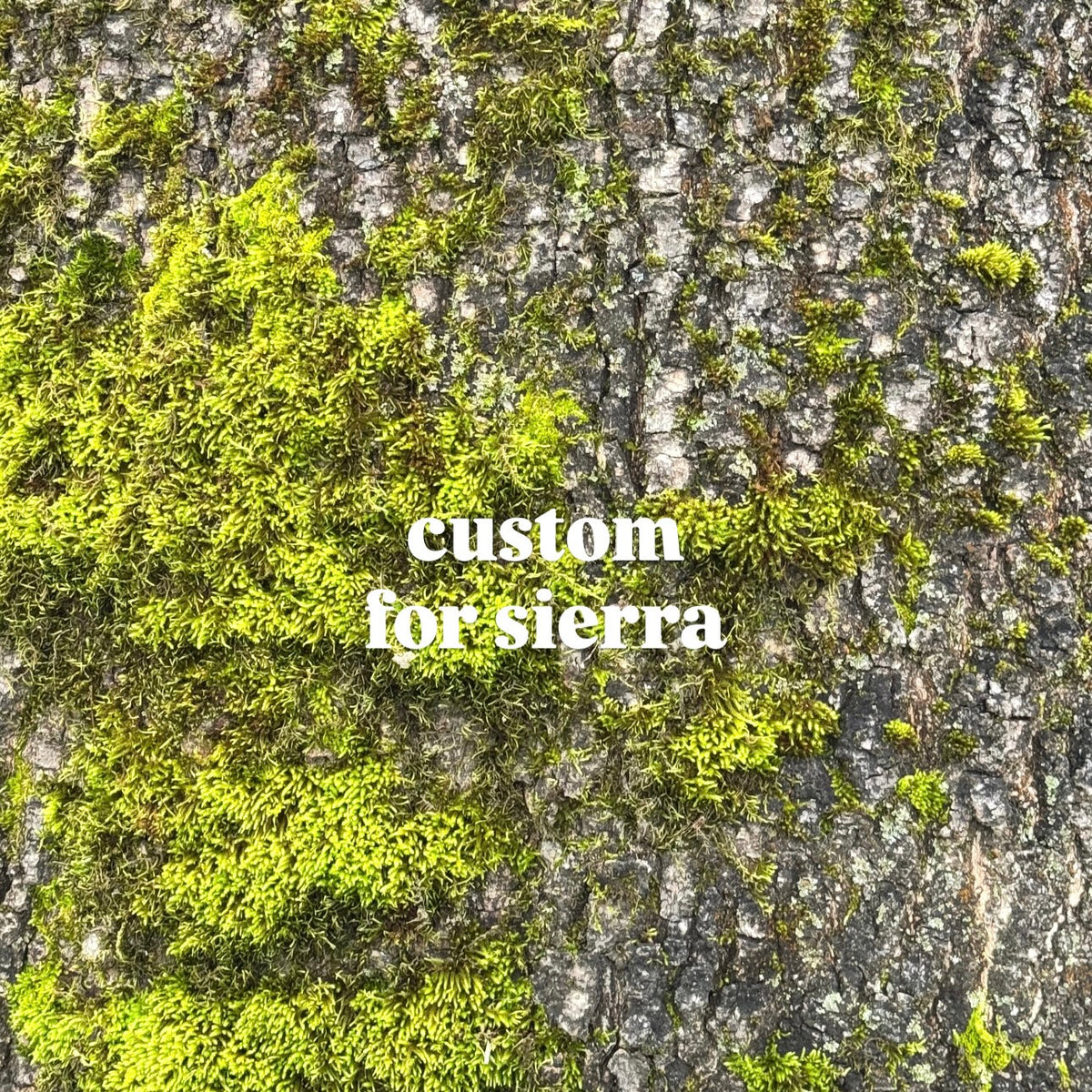 GOLDen star charm ring for sierra