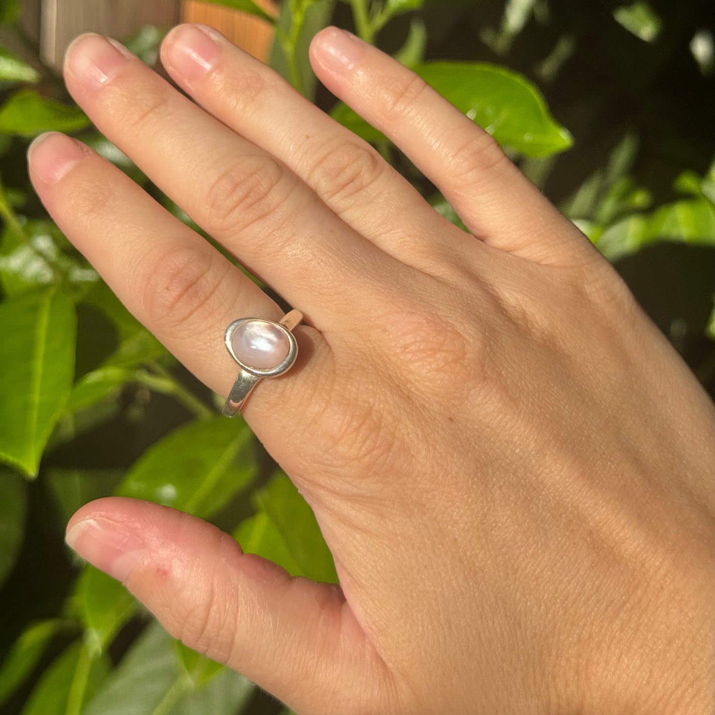pale pink shell ring