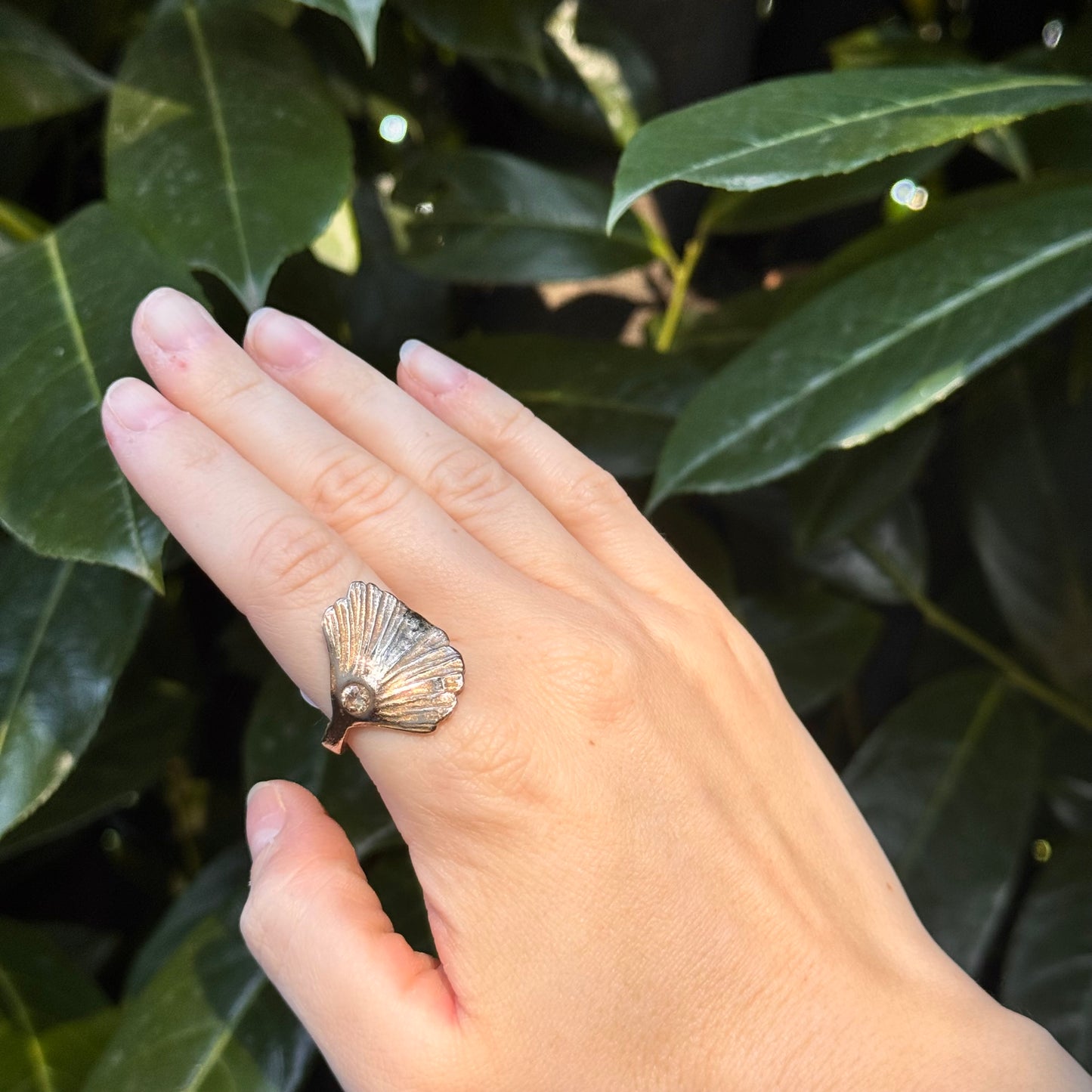 sunlit shell ring