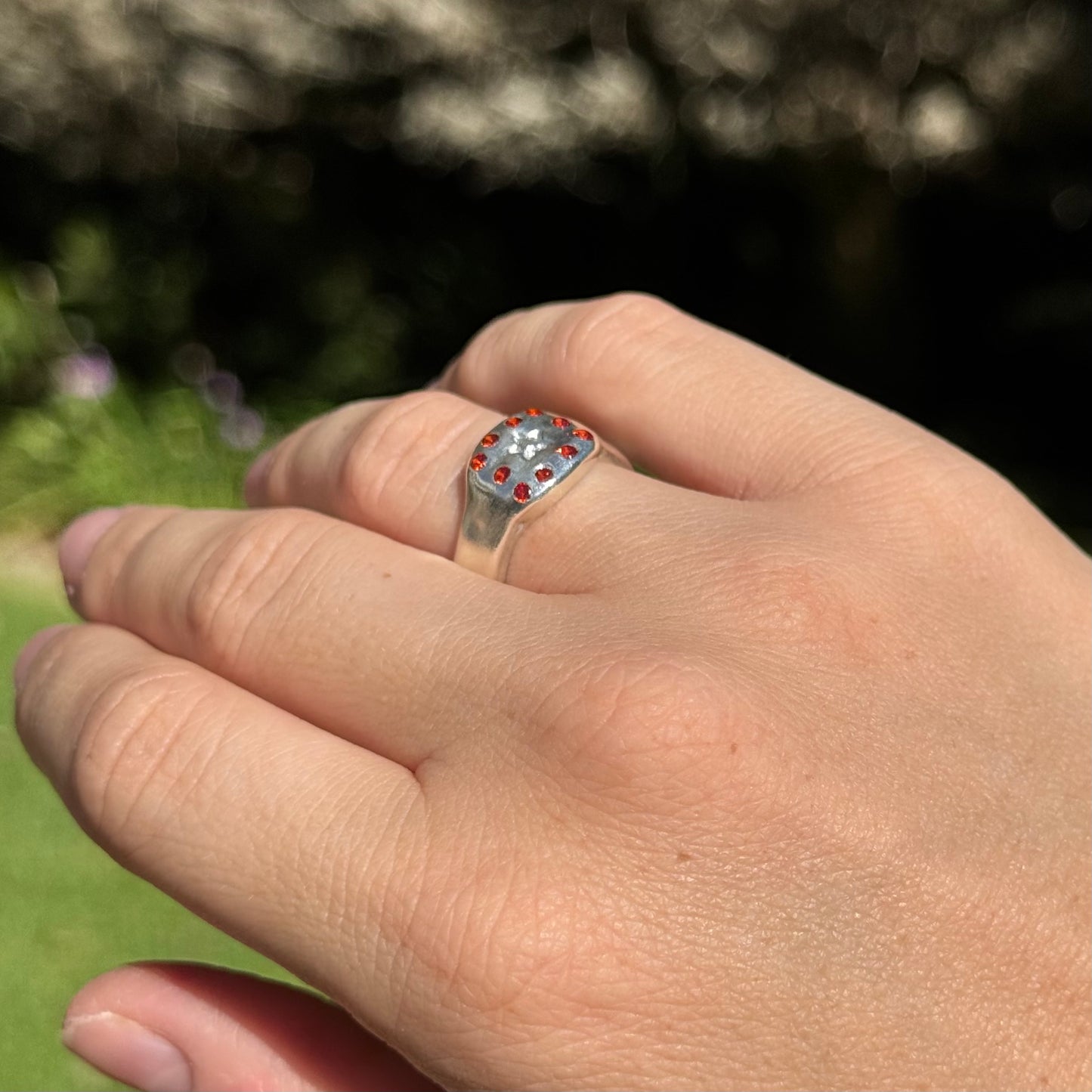 stellar signet