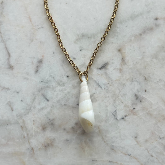 coquille no. 01