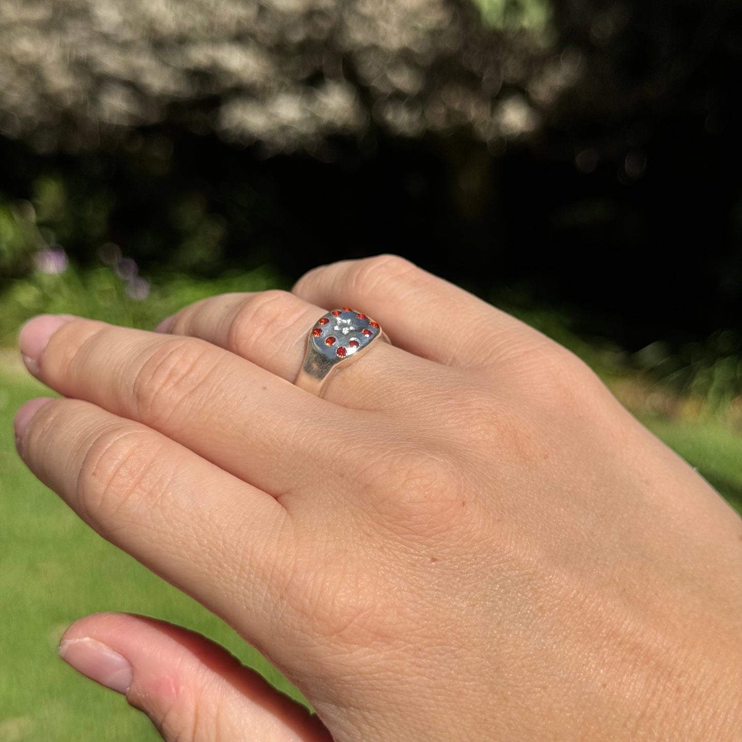 stellar signet