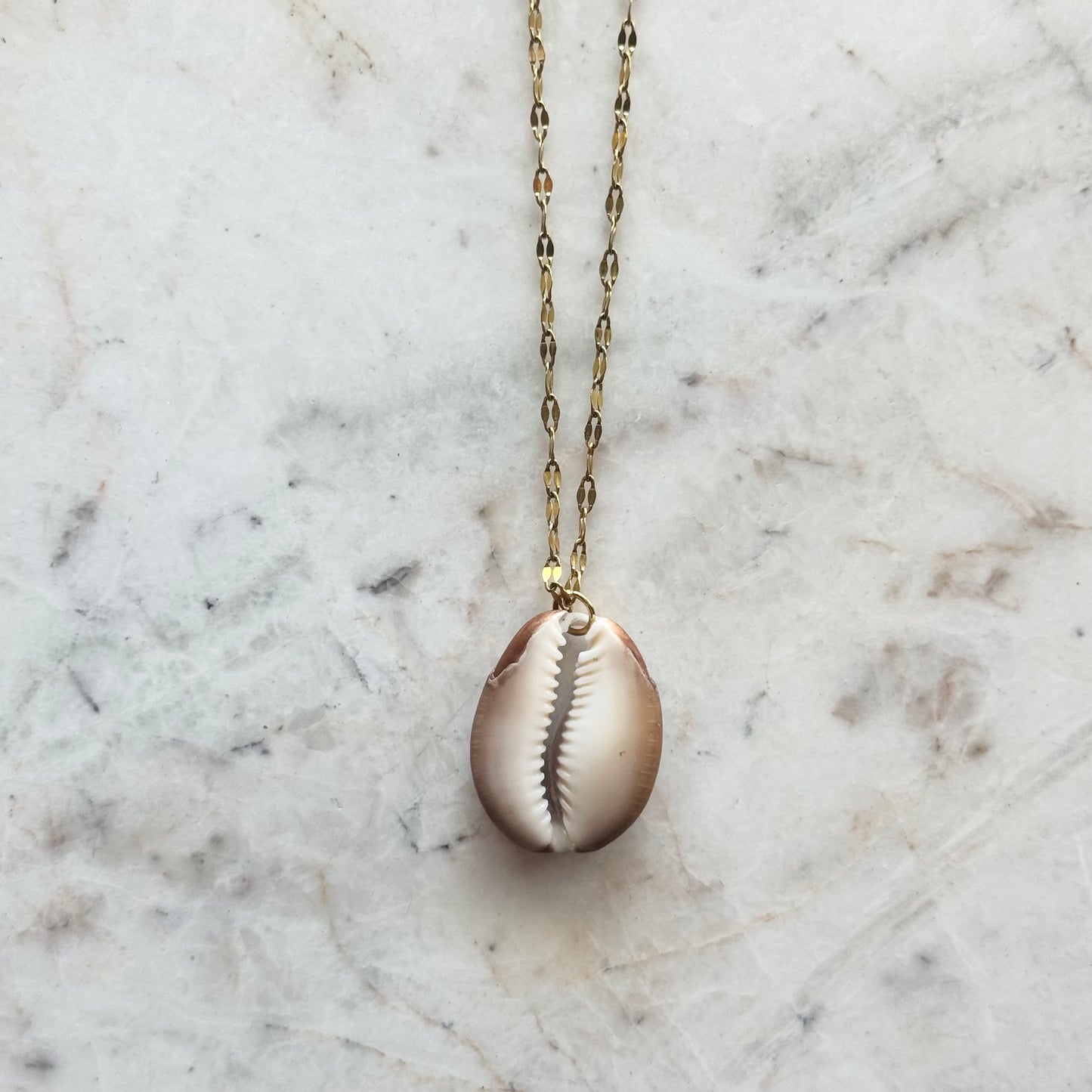 cowrie no. 00