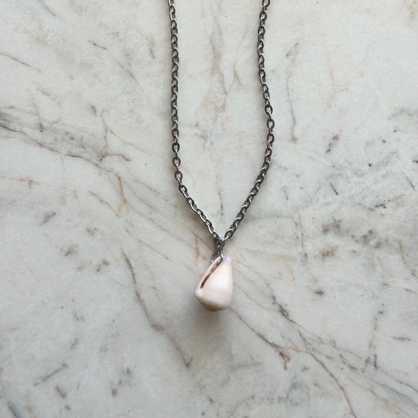 conus no. 01