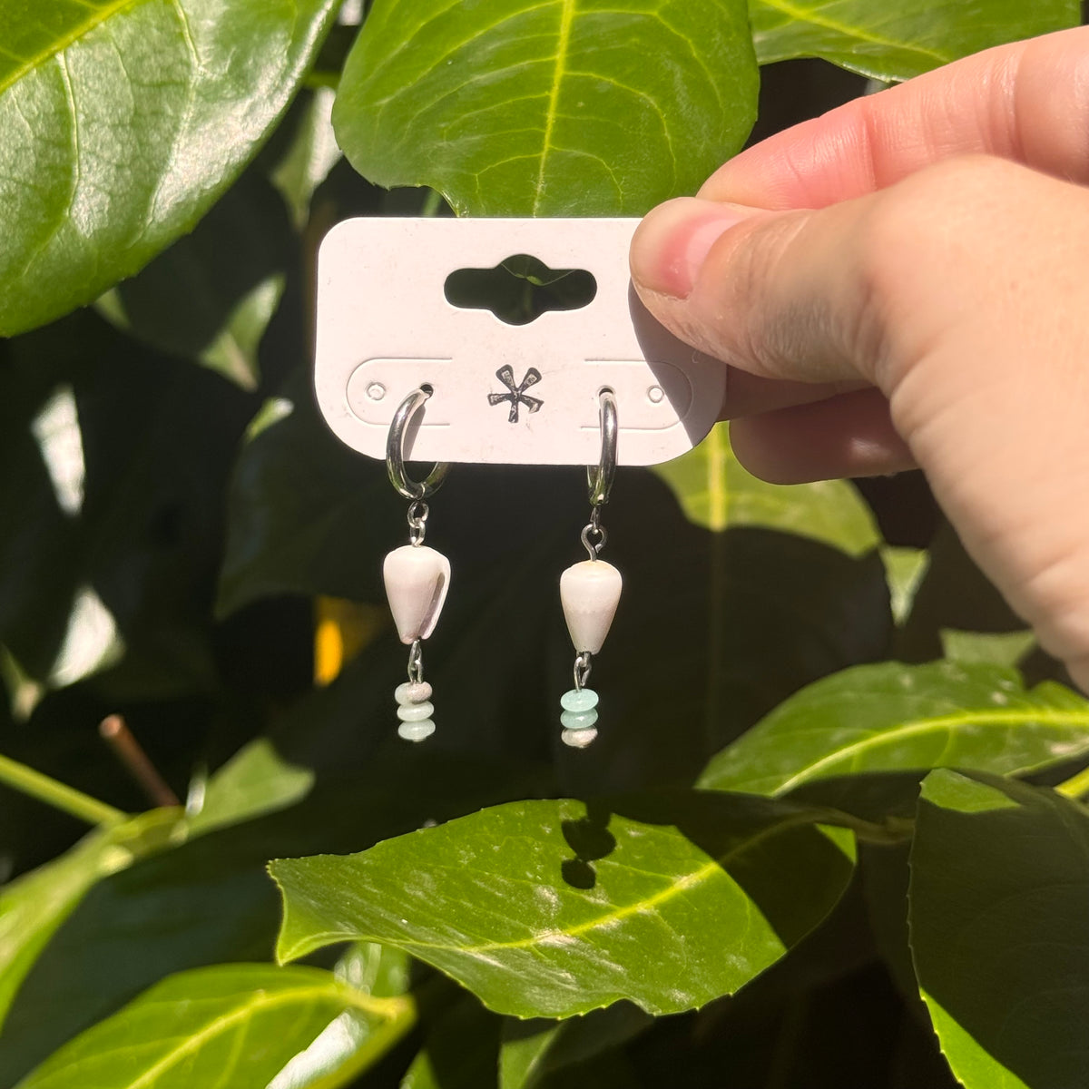 aqua conus shell hoops