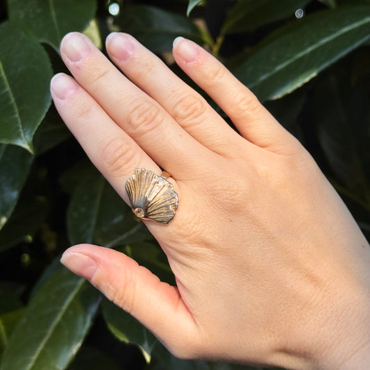sunlit shell ring